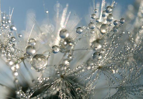 1992_img5_s.jpg (48 KB)